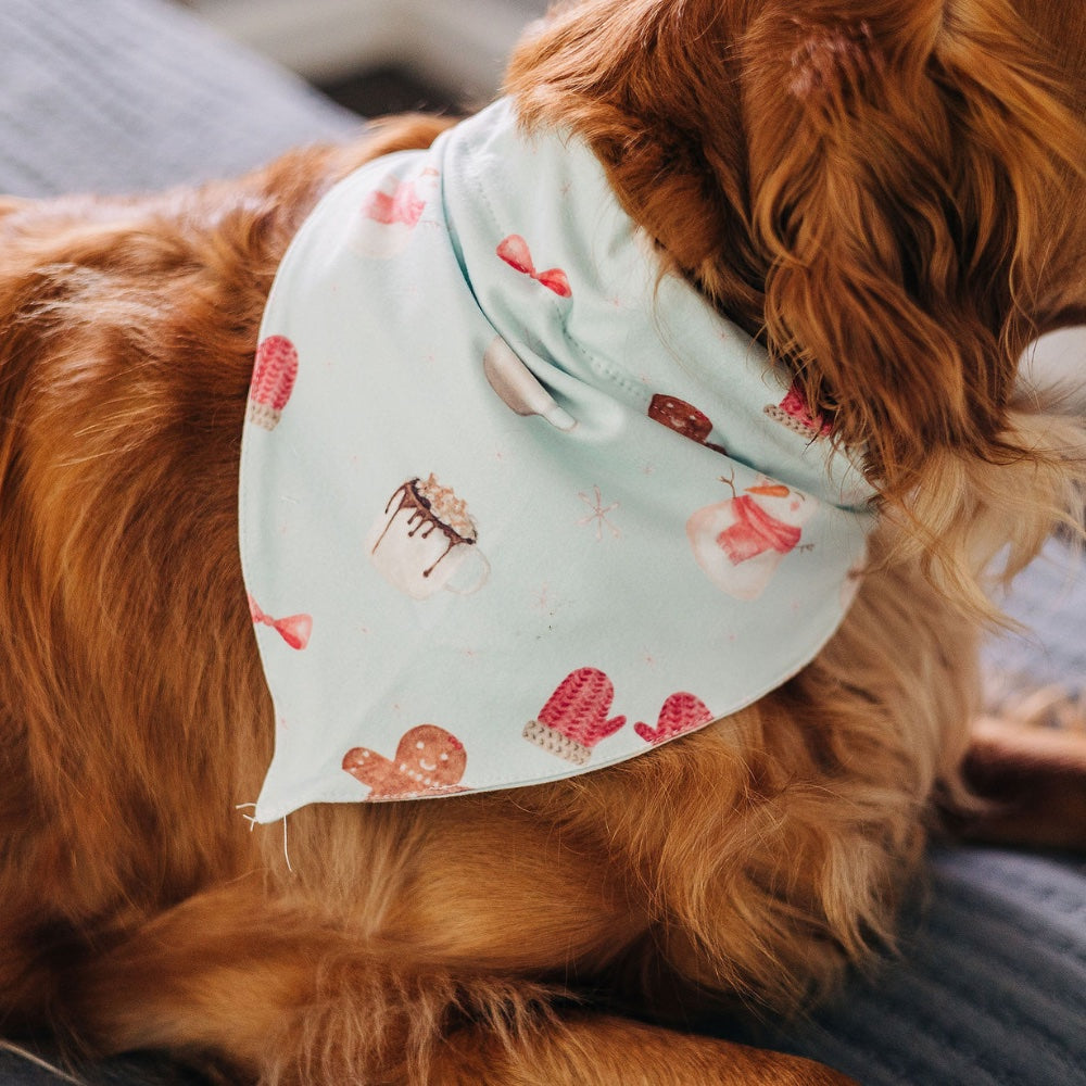 Winter dog outlet bandana