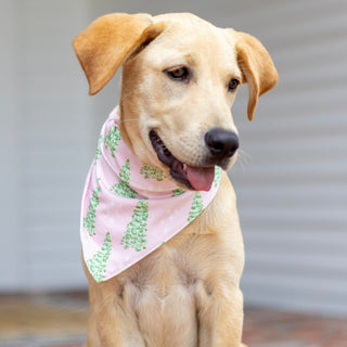 Pink Tree - Pet Bandana Holiday Lounge - Sugar Bee Clothing