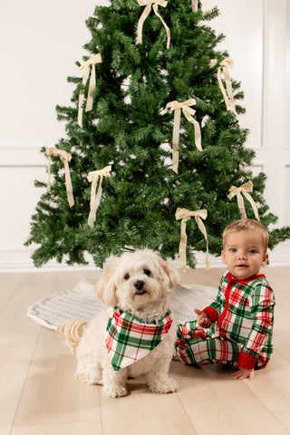 Christmas Plaid - Pet Bandana Holiday Lounge - Sugar Bee Clothing