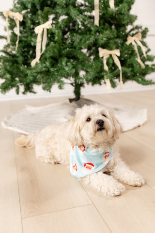 Vintage Santa - Pet Bandana Holiday Lounge - Sugar Bee Clothing
