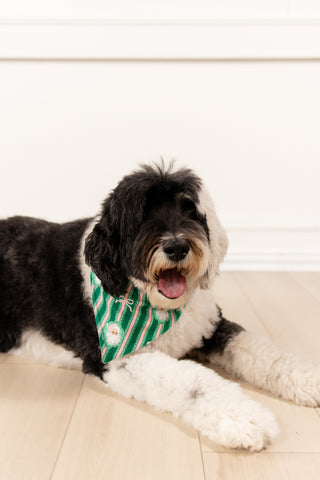 ****PREORDER***Pink Bows Santa - Pet Bandana Holiday Lounge