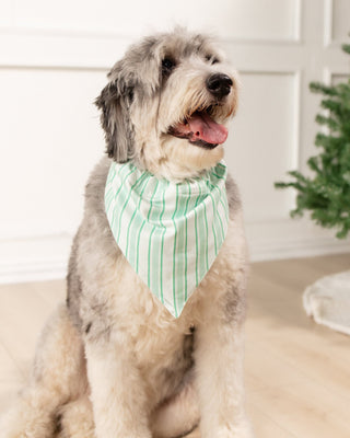 Green Stripe - Pet Bandana Holiday Lounge - Sugar Bee Clothing