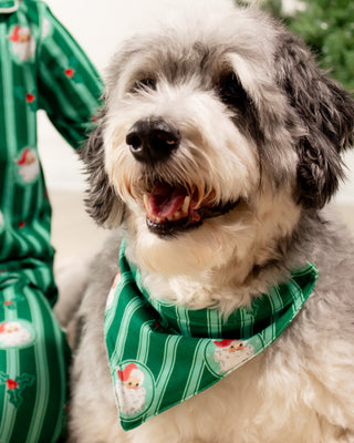 ****PREORDER***Red Hat Santa - Pet Bandana Holiday Lounge