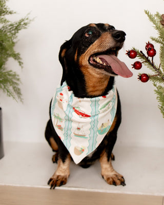 ****PREORDER***Christmas at The Beach - Pet Bandana Holiday Lounge - Sugar Bee Clothing