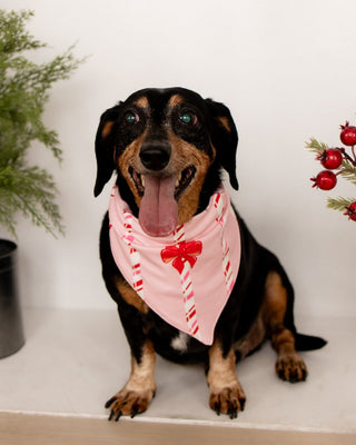 ****PREORDER***Candy Cane Lane - Pet Bandana Holiday Lounge - Sugar Bee Clothing
