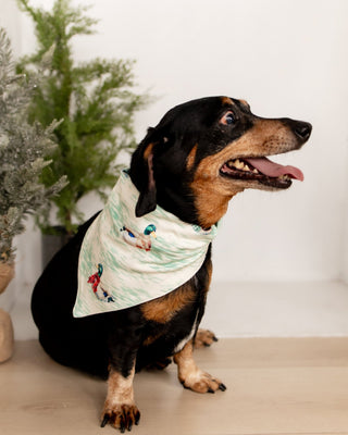 ****PREORDER***Winter Ducks - Pet Bandana Holiday Lounge - Sugar Bee Clothing
