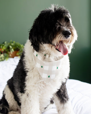 ****PREORDER***Holiday Gingham - Pet Bandana Holiday Lounge - Sugar Bee Clothing