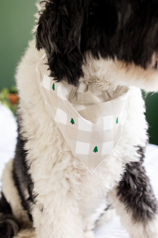 ****PREORDER***Holiday Gingham - Pet Bandana Holiday Lounge - Sugar Bee Clothing