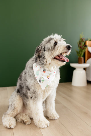 ****PREORDER***Christmas Memories - Pet Bandana Holiday Lounge - Sugar Bee Clothing
