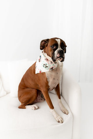 Boys Organic Cotton Christmas in New York - Pet Bandana Holiday Lounge