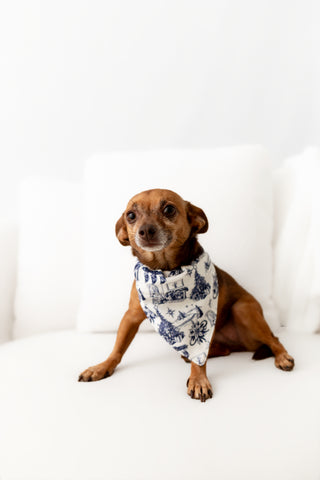 Organic Cotton Timeless Toile - Pet Bandana