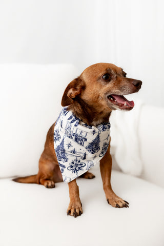 Organic Cotton Timeless Toile - Pet Bandana