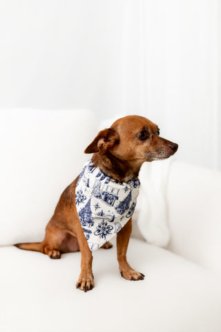 Organic Cotton Timeless Toile - Pet Bandana