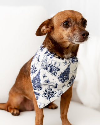 Organic Cotton Timeless Toile - Pet Bandana