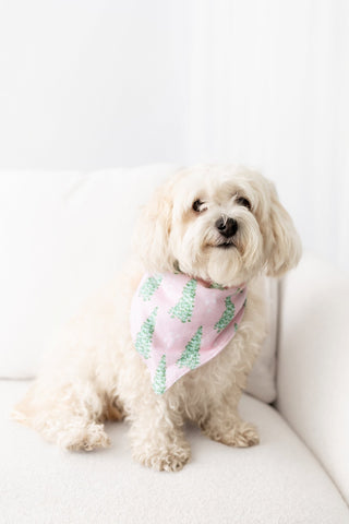 Pink Tree - Pet Bandana Holiday Lounge - Sugar Bee Clothing