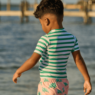 Short Sleeve Rashguard - Sea Turtle Green - Sugar Bee Clothing