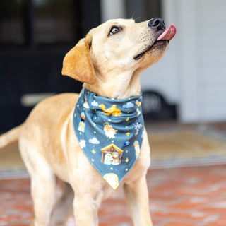 Manger - Pet Bandana Holiday Lounge - Sugar Bee Clothing