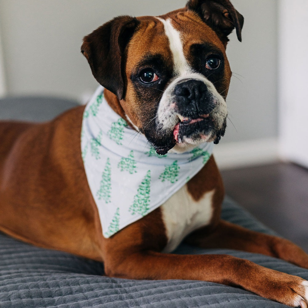 Bee dog hot sale bandana