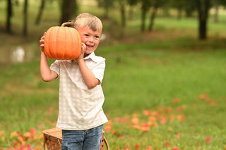 Mini Davis Pocket Polo - Cafe Au Lait Gingham - Sugar Bee Clothing