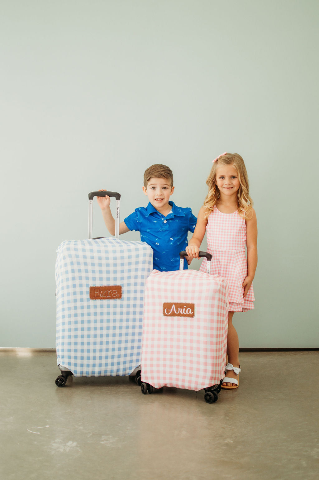 Luggage Cover - Pink Gingham