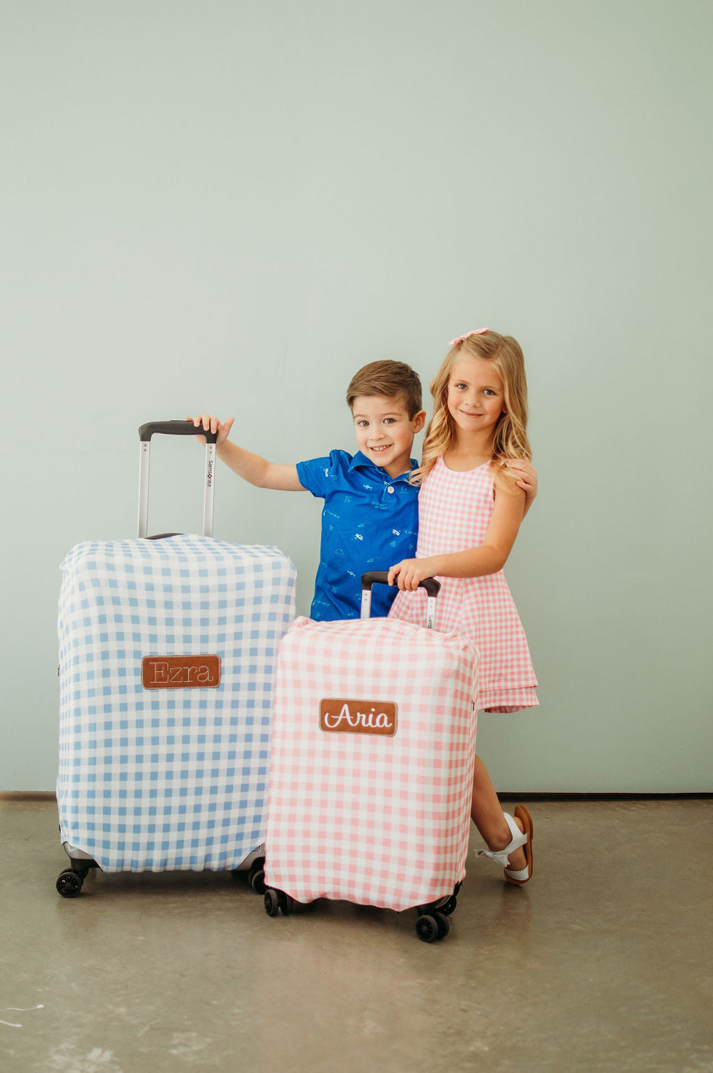 Luggage Cover - Blue Gingham