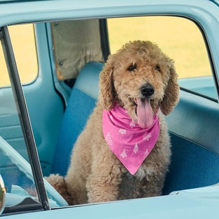 White Trees on Magenta - Pet Bandana Holiday Lounge - Sugar Bee Clothing