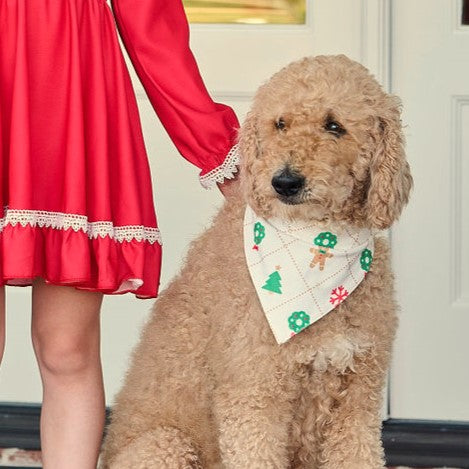 Quilted Gingerbread - Pet Bandana Holiday Lounge