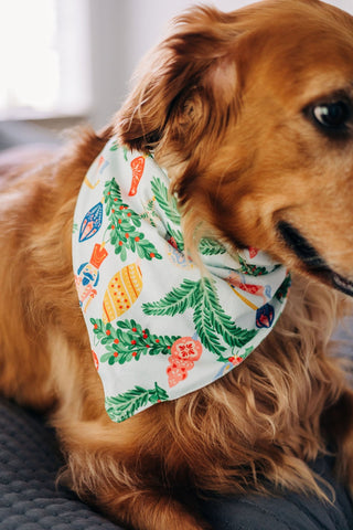 Nutcracker - Pet Bandana Holiday Lounge - Sugar Bee Clothing