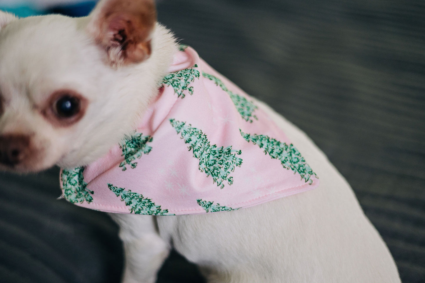 Pink Tree - Pet Bandana Holiday Lounge