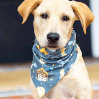 Manger - Pet Bandana Holiday Lounge - Sugar Bee Clothing