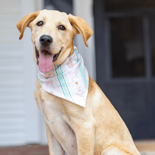Nutcracker - Pet Bandana Holiday Lounge - Sugar Bee Clothing