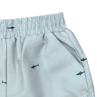 Boy Shorts - Sharks - Sugar Bee Clothing