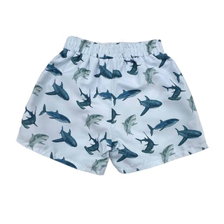 Swim Shorts - Sharks - Sugar Bee Clothing