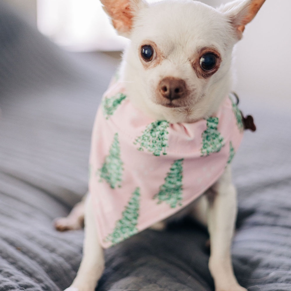 Pink Tree - Pet Bandana Holiday Lounge