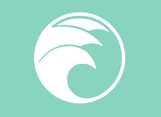 Rashguard - Coastal Current - Sugar Bee Clothing