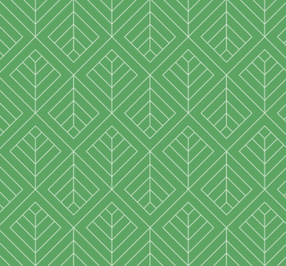 Davis Polo Set - Trail Scout Geo - Sugar Bee Clothing