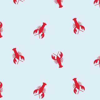 Harriett Pocket Skort - Crawfish - Sugar Bee Clothing