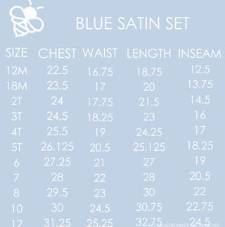Charlie Satin Long Sleeve Pant Set - Powder Blue - Sugar Bee Clothing