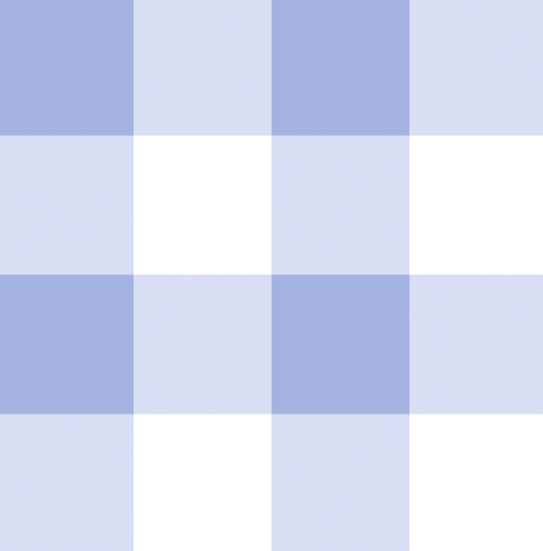 Boys Swim Cover Up - Blue Gingham