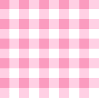 Swim Cover up - Pink Gingham Ruffle - Sugar Bee Clothing