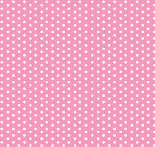 PREORDER***2 - Piece Pennant Skort Set - Pink Dot - Sugar Bee Clothing