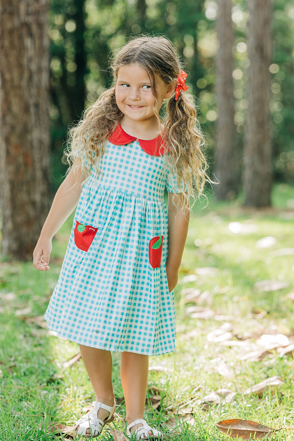 Twirl Dress - Blue Gingham with Apple Pockets