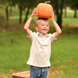 Mini Davis Pocket Polo - Cafe Au Lait Gingham - Sugar Bee Clothing