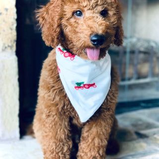 Christmas Tractors - Pet Bandana Holiday Lounge - Sugar Bee Clothing