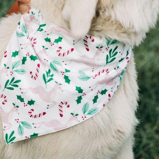 Reindeer Girls - Pet Bandana