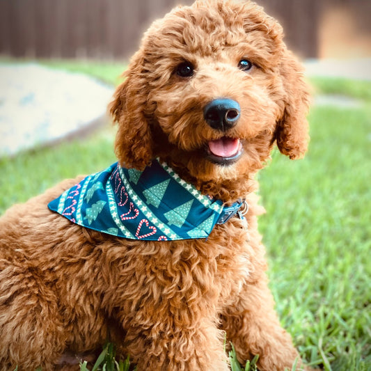 Tree And Candy Cane - Pet Bandana